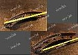 Сегмент звездочки (5 зубов) 154-27-12293 Сегмент звездочки (5 зубов) 154-27-12293